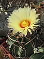 Нажмите на изображение для увеличения.

Название:	IMG_8561.JPG
Просмотров:	136
Размер:	176.3 Кб
ID:	325648