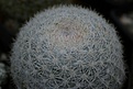 Нажмите на изображение для увеличения.

Название:	IMG_3884800x533.jpg
Просмотров:	157
Размер:	104.9 Кб
ID:	325771