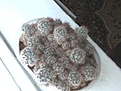 Нажмите на изображение для увеличения.

Название:	2012-07-2714.12.48.jpg
Просмотров:	225
Размер:	28.1 Кб
ID:	325986