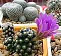 Нажмите на изображение для увеличения.

Название:	2012_09_04027.jpg
Просмотров:	144
Размер:	139.3 Кб
ID:	326746