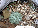 Нажмите на изображение для увеличения.

Название:	DSCN3992_resize.jpg
Просмотров:	194
Размер:	203.4 Кб
ID:	327084