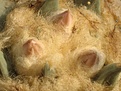 Нажмите на изображение для увеличения.

Название:	IMG_9108.JPG
Просмотров:	121
Размер:	222.1 Кб
ID:	327177