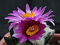 Нажмите на изображение для увеличения.

Название:	IMG_9584.jpg
Просмотров:	159
Размер:	199.6 Кб
ID:	327277