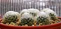 Нажмите на изображение для увеличения.

Название:	2_2012_11_17042.jpg
Просмотров:	118
Размер:	219.2 Кб
ID:	328560