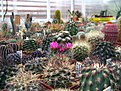 Нажмите на изображение для увеличения.

Название:	2_2012_11_17044.jpg
Просмотров:	112
Размер:	201.7 Кб
ID:	328561