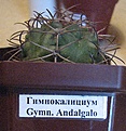 Нажмите на изображение для увеличения.

Название:	IMG_2017.JPG
Просмотров:	149
Размер:	161.4 Кб
ID:	328609
