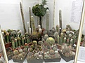 Нажмите на изображение для увеличения.

Название:	IMG_4232.jpg
Просмотров:	194
Размер:	212.5 Кб
ID:	328798