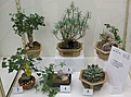 Нажмите на изображение для увеличения.

Название:	IMG_4253.jpg
Просмотров:	215
Размер:	112.1 Кб
ID:	328802