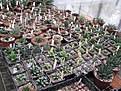 Нажмите на изображение для увеличения.

Название:	greenhouse30.JPG
Просмотров:	182
Размер:	259.6 Кб
ID:	328861