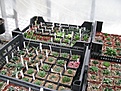 Нажмите на изображение для увеличения.

Название:	greenhouse50.JPG
Просмотров:	185
Размер:	214.5 Кб
ID:	328912