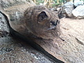 Нажмите на изображение для увеличения.

Название:	26082012049.jpg1.jpg
Просмотров:	173
Размер:	86.7 Кб
ID:	328963