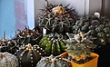 Нажмите на изображение для увеличения.

Название:	07.jpg
Просмотров:	362
Размер:	86.5 Кб
ID:	329176