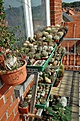 Нажмите на изображение для увеличения.

Название:	my_balkon3.jpg
Просмотров:	350
Размер:	159.4 Кб
ID:	329178