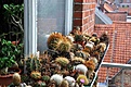 Нажмите на изображение для увеличения.

Название:	my_balkon.jpg
Просмотров:	343
Размер:	185.0 Кб
ID:	329179