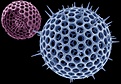 Нажмите на изображение для увеличения.

Название:	Radiolaria.jpg
Просмотров:	261
Размер:	65.2 Кб
ID:	329493