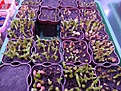 Нажмите на изображение для увеличения.

Название:	DSC01120.jpg
Просмотров:	211
Размер:	210.7 Кб
ID:	330813