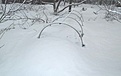 Нажмите на изображение для увеличения.

Название:	dacha4.jpg
Просмотров:	151
Размер:	33.0 Кб
ID:	331476