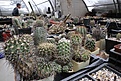 Нажмите на изображение для увеличения.

Название:	X52A0710.jpg
Просмотров:	338
Размер:	215.1 Кб
ID:	331637