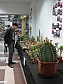 Нажмите на изображение для увеличения.

Название:	IMG_5740.jpg
Просмотров:	167
Размер:	103.6 Кб
ID:	331677