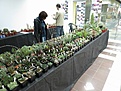 Нажмите на изображение для увеличения.

Название:	IMG_5742.jpg
Просмотров:	173
Размер:	137.3 Кб
ID:	331678