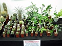 Нажмите на изображение для увеличения.

Название:	IMG_5812.jpg
Просмотров:	160
Размер:	149.7 Кб
ID:	331723