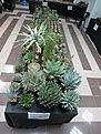 Нажмите на изображение для увеличения.

Название:	IMG_5837.jpg
Просмотров:	166
Размер:	166.1 Кб
ID:	331740
