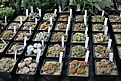 Нажмите на изображение для увеличения.

Название:	IMG_5850.JPG
Просмотров:	121
Размер:	98.9 Кб
ID:	331751