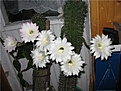 Нажмите на изображение для увеличения.

Название:	73d66796838c.jpg
Просмотров:	110
Размер:	64.2 Кб
ID:	332384