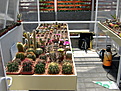 Нажмите на изображение для увеличения.

Название:	tp2013_05_04035.jpg
Просмотров:	155
Размер:	192.3 Кб
ID:	332567