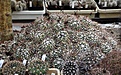 Нажмите на изображение для увеличения.

Название:	AW03.jpg
Просмотров:	298
Размер:	197.4 Кб
ID:	332607