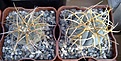 Нажмите на изображение для увеличения.

Название:	armatums.jpg
Просмотров:	181
Размер:	177.2 Кб
ID:	332822