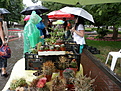 Нажмите на изображение для увеличения.

Название:	P6151023.jpg1.jpg
Просмотров:	524
Размер:	197.4 Кб
ID:	334820