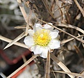 Нажмите на изображение для увеличения.

Название:	IMG_2750.JPG
Просмотров:	155
Размер:	245.8 Кб
ID:	335368