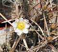 Нажмите на изображение для увеличения.

Название:	IMG_2751.JPG
Просмотров:	157
Размер:	292.8 Кб
ID:	335369
