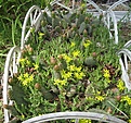 Нажмите на изображение для увеличения.

Название:	IMG_5417.JPG
Просмотров:	212
Размер:	242.7 Кб
ID:	335591