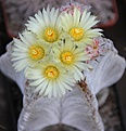 Нажмите на изображение для увеличения.

Название:	IMG_2859.JPG
Просмотров:	163
Размер:	288.8 Кб
ID:	335662