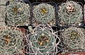 Нажмите на изображение для увеличения.

Название:	IMG_3279.JPG
Просмотров:	577
Размер:	236.4 Кб
ID:	336288