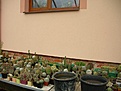 Нажмите на изображение для увеличения.

Название:	mDSCN9741.JPG
Просмотров:	162
Размер:	72.1 Кб
ID:	336730