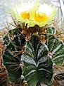 Нажмите на изображение для увеличения.

Название:	IMG_5583.JPG
Просмотров:	156
Размер:	226.5 Кб
ID:	337243