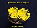 Нажмите на изображение для увеличения.

Название:	Rik_37.jpg
Просмотров:	147
Размер:	128.2 Кб
ID:	337404