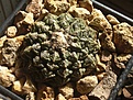 Нажмите на изображение для увеличения.

Название:	CIMG6581.JPG
Просмотров:	127
Размер:	207.9 Кб
ID:	337415