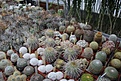 Нажмите на изображение для увеличения.

Название:	IMG_0604.JPG
Просмотров:	589
Размер:	266.1 Кб
ID:	338037