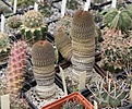 Нажмите на изображение для увеличения.

Название:	IMG_0728.JPG
Просмотров:	539
Размер:	280.8 Кб
ID:	338044
