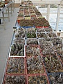 Нажмите на изображение для увеличения.

Название:	IMG_8628.jpg
Просмотров:	230
Размер:	233.7 Кб
ID:	338081
