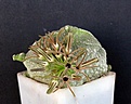 Нажмите на изображение для увеличения.

Название:	Pseudolithos cubiformis_12.131.jpg
Просмотров:	218
Размер:	90.1 Кб
ID:	338611