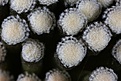 Нажмите на изображение для увеличения.

Название:	IMG_7954.jpg
Просмотров:	285
Размер:	158.0 Кб
ID:	339380