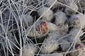 Нажмите на изображение для увеличения.

Название:	IMG_7985.jpg
Просмотров:	264
Размер:	137.0 Кб
ID:	339386