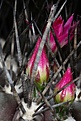 Нажмите на изображение для увеличения.

Название:	IMG_7989.jpg
Просмотров:	253
Размер:	153.3 Кб
ID:	339387
