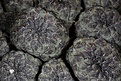 Нажмите на изображение для увеличения.

Название:	IMG_8037.jpg
Просмотров:	248
Размер:	287.2 Кб
ID:	339397