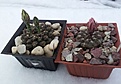 Нажмите на изображение для увеличения.

Название:	1.jpg
Просмотров:	181
Размер:	135.5 Кб
ID:	340163